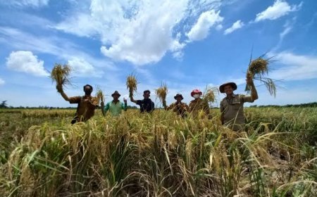 Pentingnya swasembada pangan bagi kesejahteraan rakyat