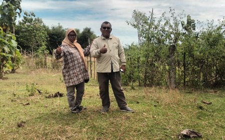 LPARI, Penyelesaian permasalahan tanah dan peningkatan tanah garapan ke shm