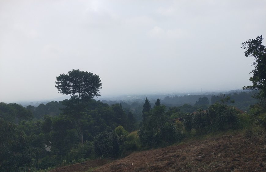 agro wisata konsep city light