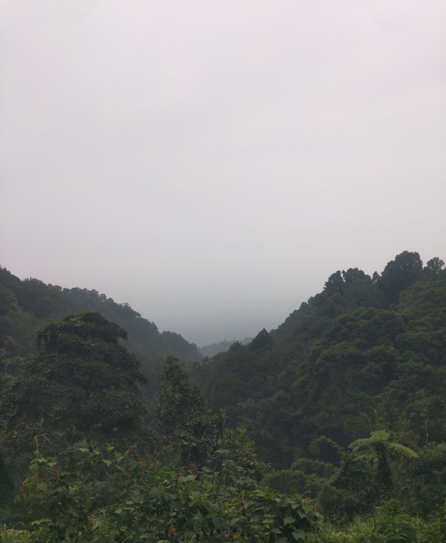 agro wisata konsep city light