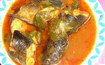 Lele Kuah Asam Pedas