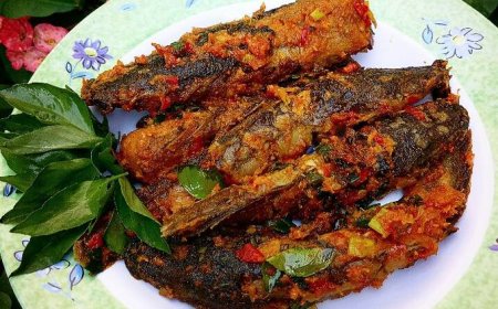 Lele Goreng Kremes Balado