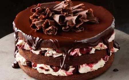 Black Forest Bolu Cheesecake
