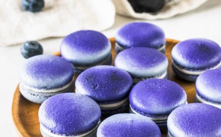 Macaron Blueberry