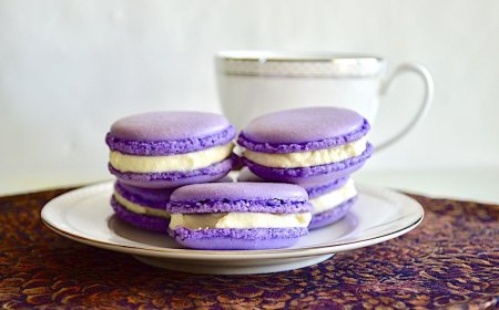 Macaron Lavender