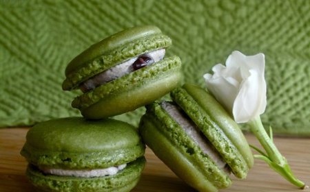 Macaron Green Tea Red Bean