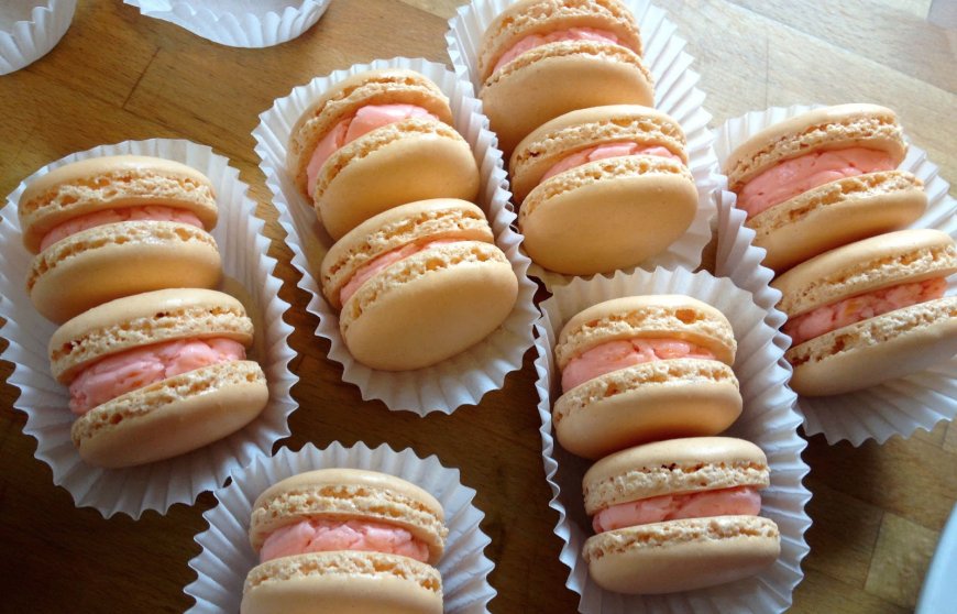 Macaron Grapefruit
